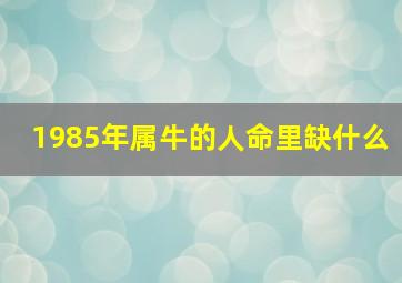 1985年属牛的人命里缺什么