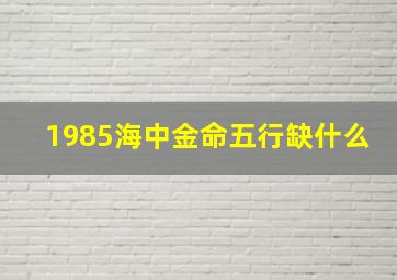 1985海中金命五行缺什么