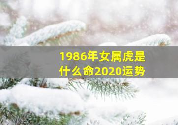 1986年女属虎是什么命2020运势