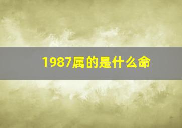 1987属的是什么命