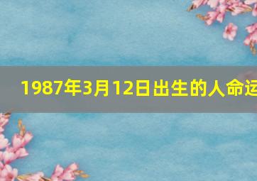 1987年3月12日出生的人命运