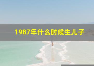 1987年什么时候生儿子