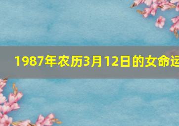 1987年农历3月12日的女命运