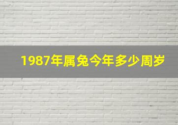 1987年属兔今年多少周岁