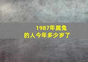 1987年属兔的人今年多少岁了