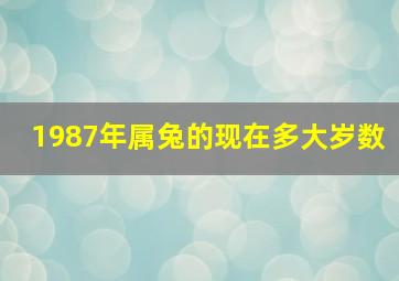 1987年属兔的现在多大岁数