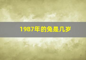 1987年的兔是几岁