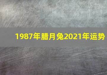 1987年腊月兔2021年运势