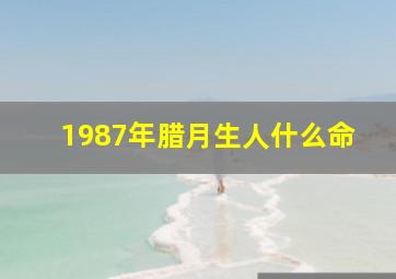 1987年腊月生人什么命