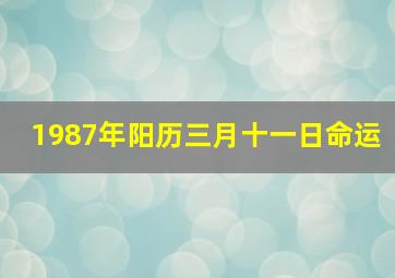 1987年阳历三月十一日命运