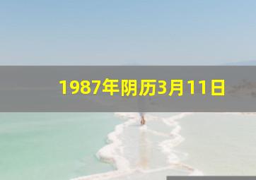 1987年阴历3月11日