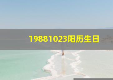 19881023阳历生日