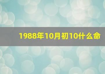 1988年10月初10什么命