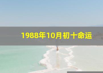 1988年10月初十命运