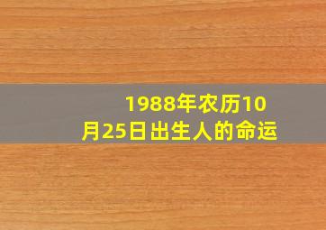 1988年农历10月25日出生人的命运