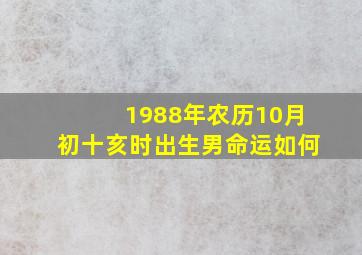 1988年农历10月初十亥时出生男命运如何