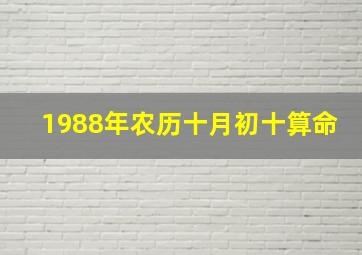 1988年农历十月初十算命