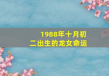 1988年十月初二出生的龙女命运