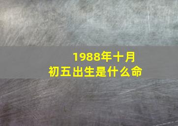 1988年十月初五出生是什么命