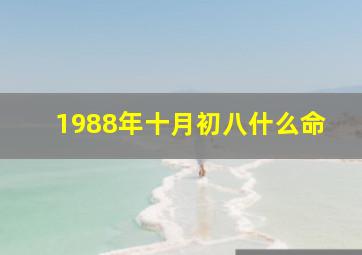 1988年十月初八什么命