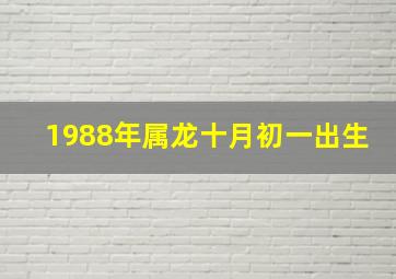 1988年属龙十月初一出生