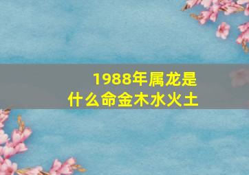 1988年属龙是什么命金木水火土