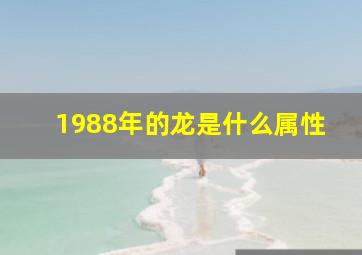 1988年的龙是什么属性