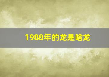 1988年的龙是啥龙