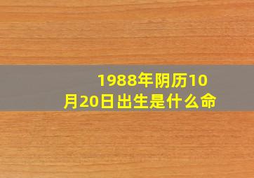 1988年阴历10月20日出生是什么命