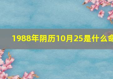 1988年阴历10月25是什么命