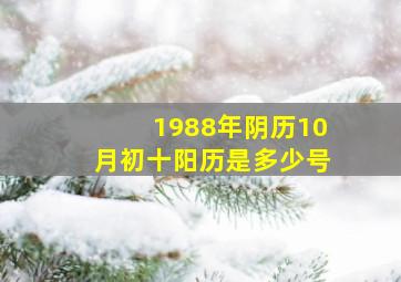 1988年阴历10月初十阳历是多少号