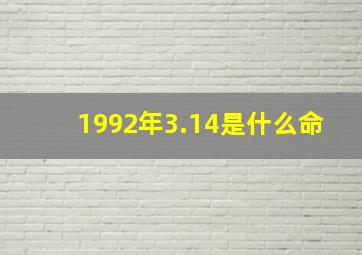 1992年3.14是什么命