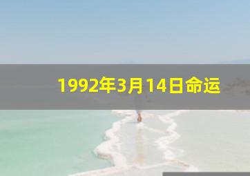 1992年3月14日命运