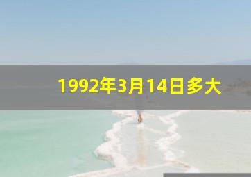 1992年3月14日多大