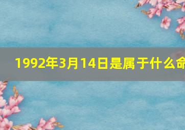 1992年3月14日是属于什么命