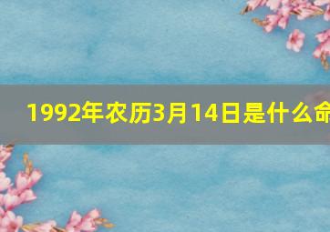 1992年农历3月14日是什么命