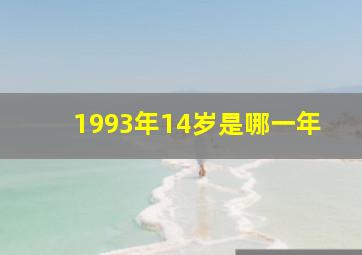 1993年14岁是哪一年