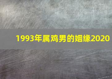 1993年属鸡男的姻缘2020