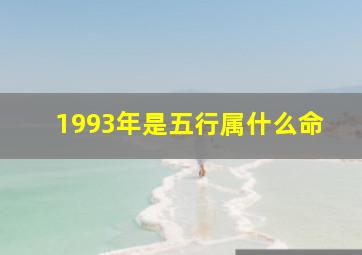 1993年是五行属什么命