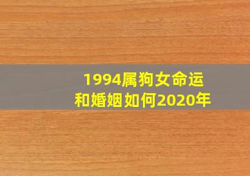 1994属狗女命运和婚姻如何2020年