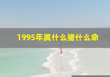 1995年属什么猪什么命