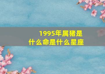 1995年属猪是什么命是什么星座