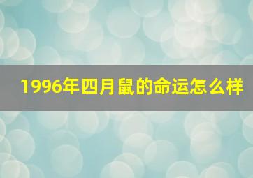 1996年四月鼠的命运怎么样