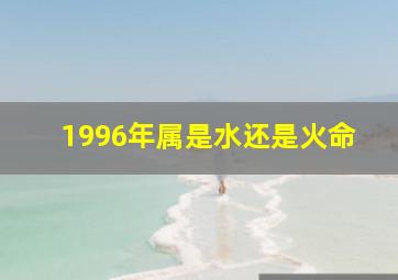 1996年属是水还是火命