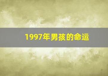 1997年男孩的命运