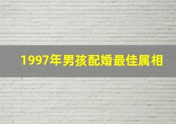 1997年男孩配婚最佳属相