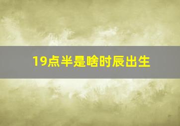 19点半是啥时辰出生