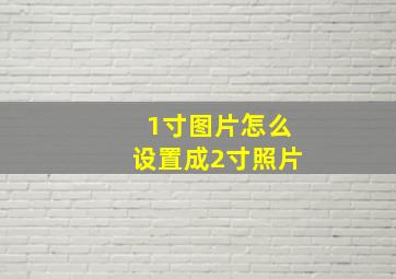 1寸图片怎么设置成2寸照片