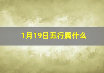 1月19日五行属什么