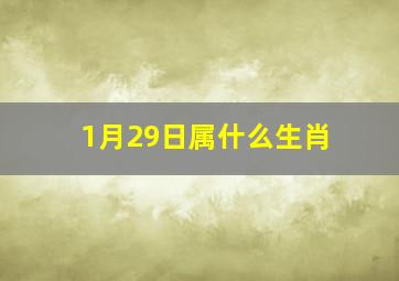 1月29日属什么生肖